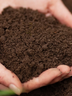 EnviroZyme® Remediates Soil Contaminated with Oil in Three Months